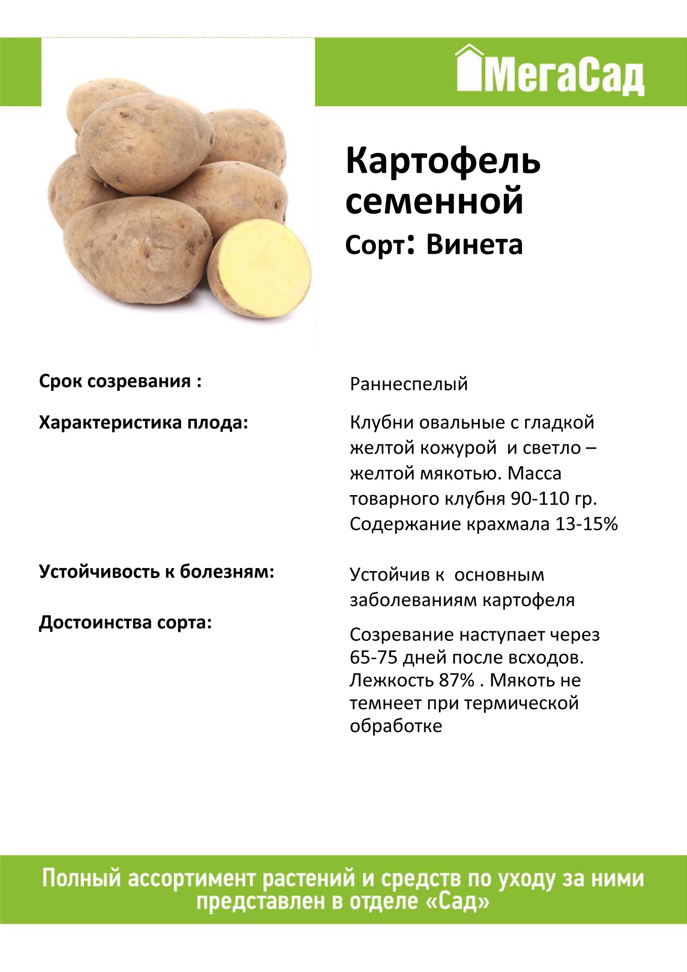 Характеристика сортов картофеля. Семенной картофель Винета. Винета картофель характеристика. Сорт картофеля Венета. Винета сорт картофеля характеристика.